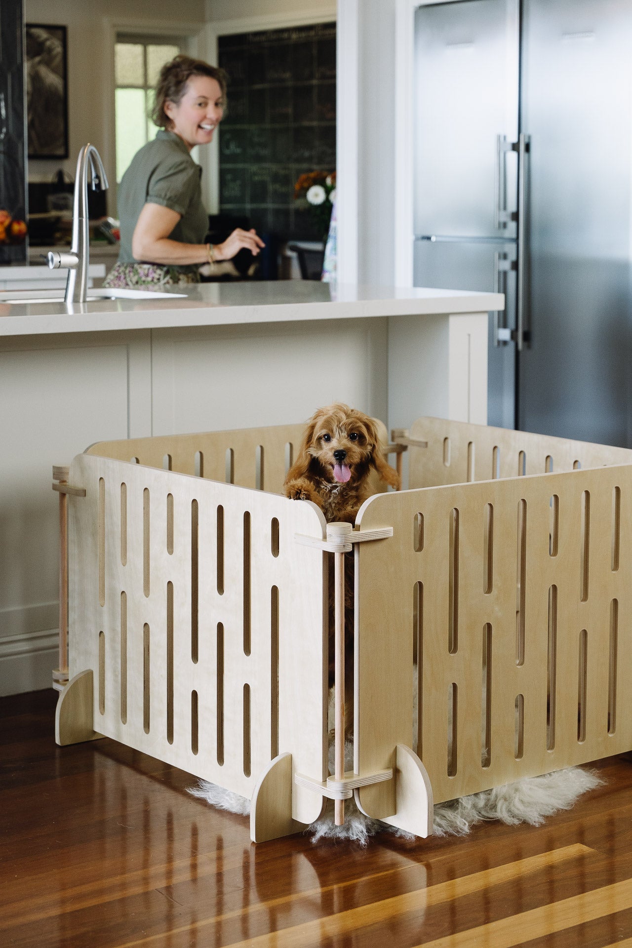 Buddy playpen with Betty the golden puppy